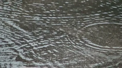 Rain in puddle Vidéo 1002844