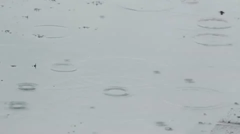 Rain in puddle Stockbeeldmateriaal 10894959