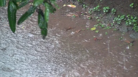 Rain in a puddle 動画素材 100057164