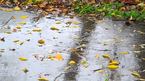 Rain in a Puddle 動画素材 144946877