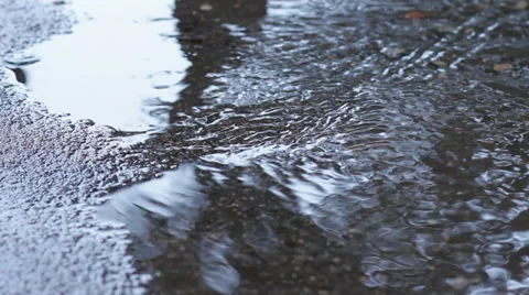 Rain Puddle with Pigeons Reflection HD Stock Footage 32549304
