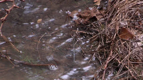 Rain Puddle Pull 1 스톡 동영상 26978344