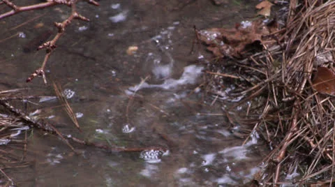 Rain Puddle Rack 1 스톡 동영상 26987324