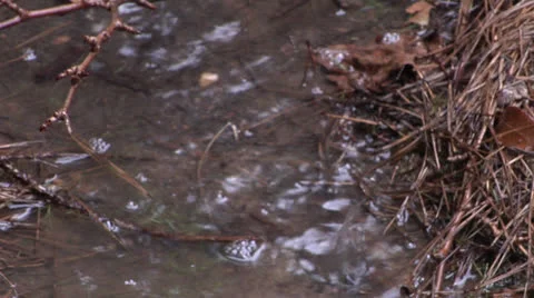 Rain Puddle Rack 2 스톡 동영상 26994717