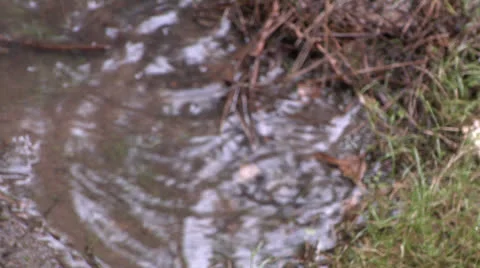 Rain Puddle Rack 3 스톡 동영상 26983882