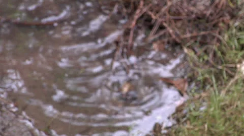 Rain Puddle Rack 4 스톡 동영상 26989755