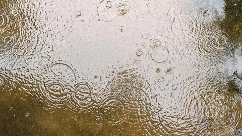 Rain, a puddle with raindrops on the surface Stock-Fotos
