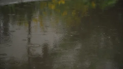 Rain puddle with reflection Stock Footage 132106978