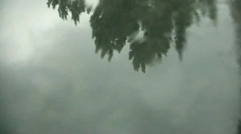 Rain in Puddle Reflections Video stock 12612440