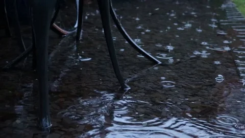 Rain in puddle with reflections Stock Footage 86219533