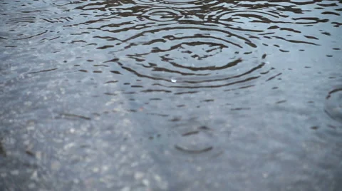 Rain in puddle , slow motion Stock Footage 64766467