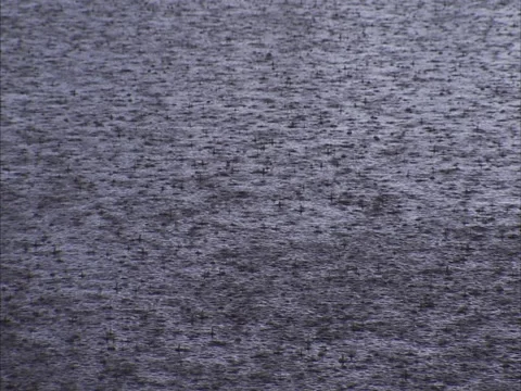 Rain puddle texture Stock Footage 2347240