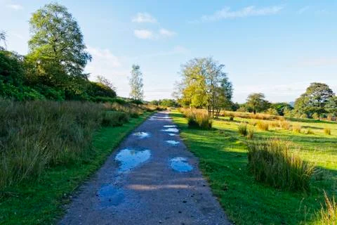 Rain puddles on a countryside path. Foto stock