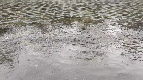Rain puddles Stock Footage 223317136