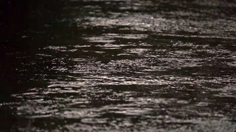 Rain puddles on a pavement Stock Footage 107772192