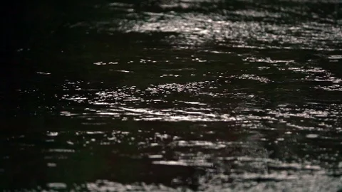 Rain puddles on a pavement Stock Footage 107772233