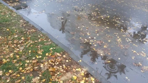 Rain puddles at street Stock Footage 97602088