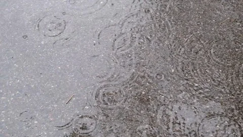 Rain, rain ripples in puddles Video stock 328335483