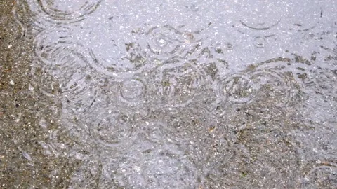 Rain, rain ripples in puddles Stock Footage 328335796