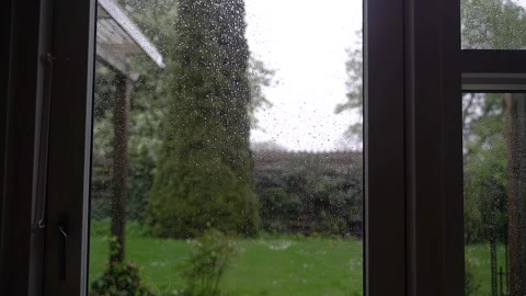 Rain. Raindrops outside the window against the background of a green lawn. Stock Footage 310993251