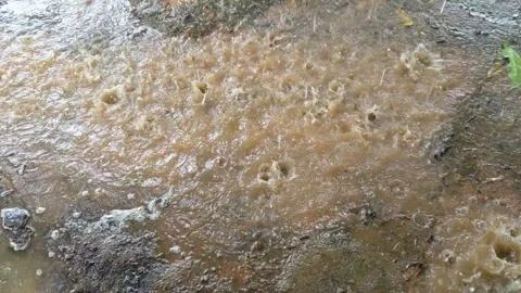 Rain on red soil and causing water to stagnate Stock Footage 321751193