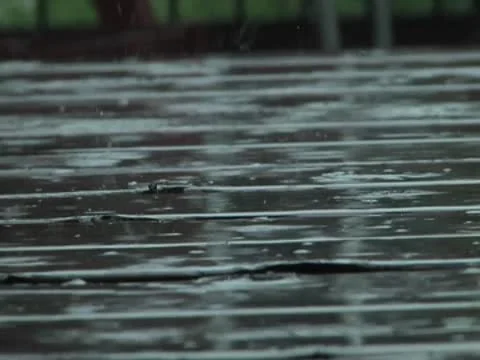 Rain on Redwood Deck 库存影片 10561670