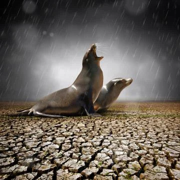 Rain relief Stock Photos