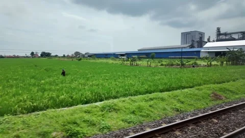 Rain ride through landscapes on Java Island in Indonesia 스톡 동영상 336946695