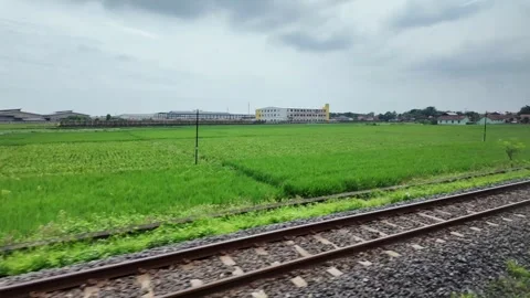 Rain ride through landscapes on Java Island in Indonesia 스톡 동영상 336946704