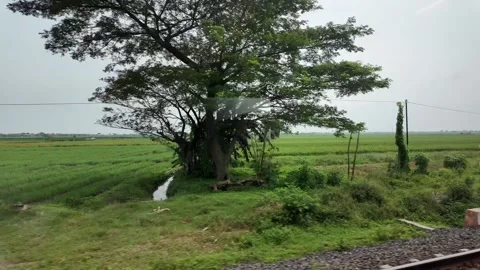Rain ride through landscapes on Java Island in Indonesia Stock-Footage 336946761