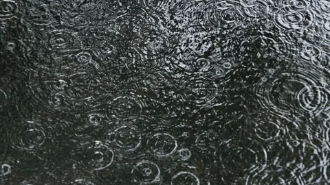 Rain Ripples on Dark Water. Video stock 312812667