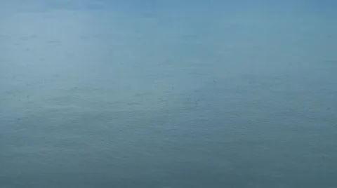 Rain Ripples Stock Footage 490220