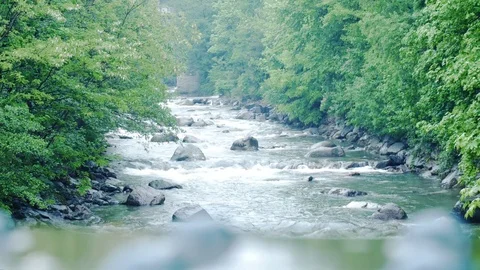Rain on the river flows through rocks and forest 動画素材 75473285