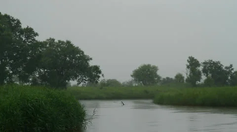 Rain on the river Stock Footage 25849350