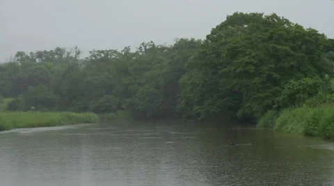 Rain on the river Stock Footage 25849536