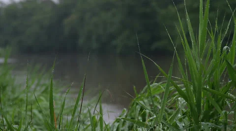 Rain on the river Stock Footage 25849651