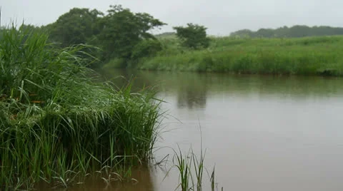 Rain on the river Stock Footage 25849701