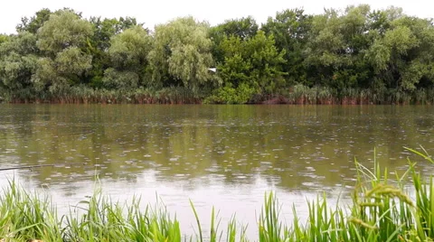 Rain on the River Stock Footage 56941500