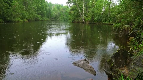 Rain on a river Video stock 76951241