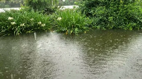 Rain in River Video stock 201603087