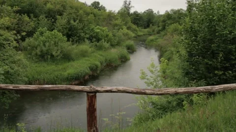 Rain on the river in the forest Stock Footage 51029208