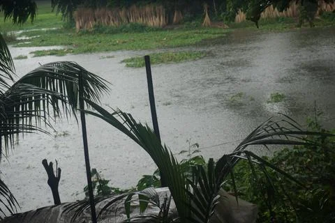 Rain on the river Stock Photos
