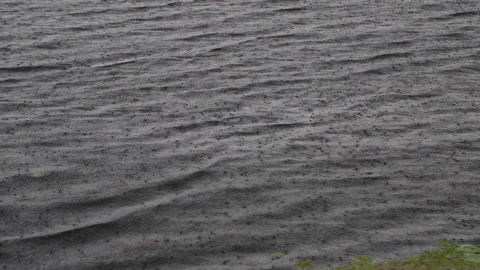 Rain on the rivers Stock Footage 255058773