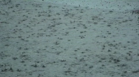 Rain on Road 2 Video stock 761357