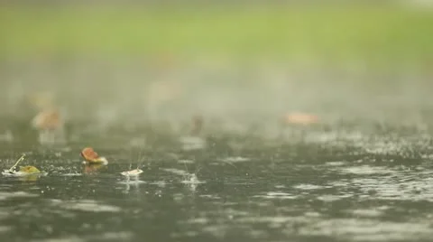 Rain on Road CU Stock Footage 11977448