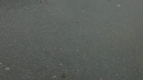 Rain on the road Stock Footage 11339246