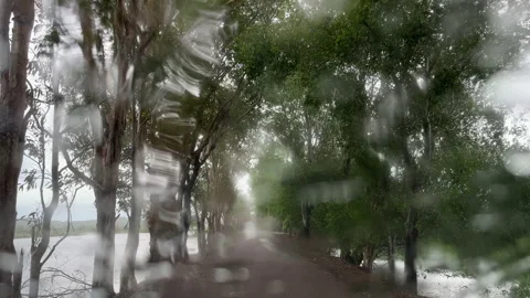 Rain On The Road Stock Footage 168922135