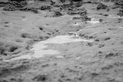 Rain on rocks Stock Photos