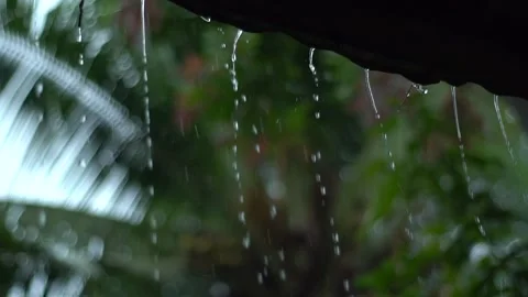 Rain on the Roof Stock Footage 159931921