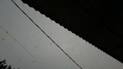 Rain from the roof Stock Footage 208306492